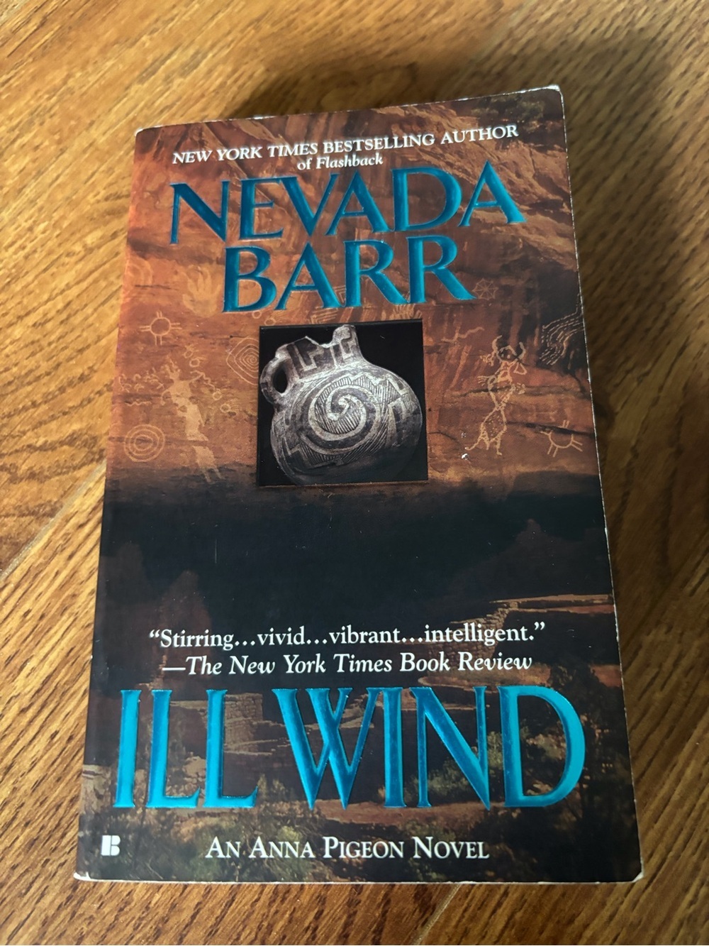 Nevada Barr "Ill Wind" Paperback Book - Teal & Brown Cover